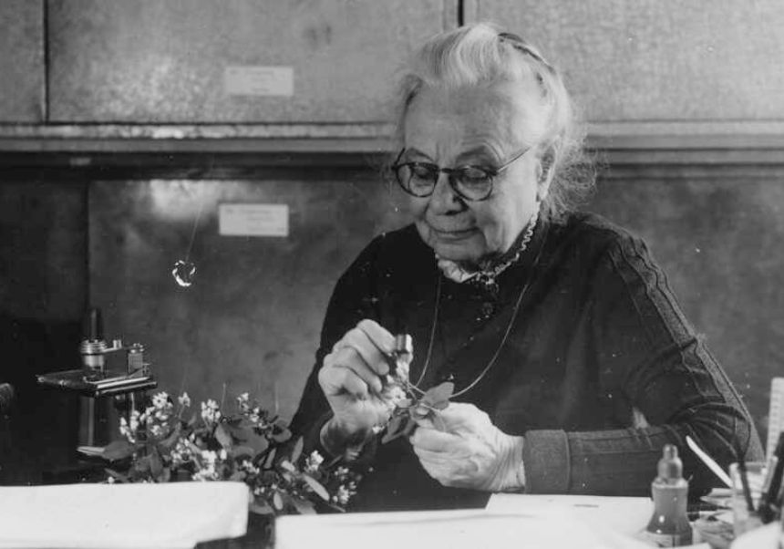 Dona botànica treballant